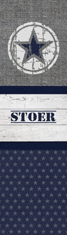 Kinderbehang paneel stoere ster blauw