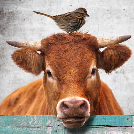 behang boerderijdieren detail