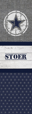 Kinderbehang paneel stoere ster blauw